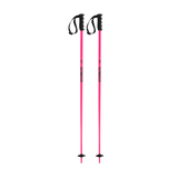 Prodigy Ski Poles