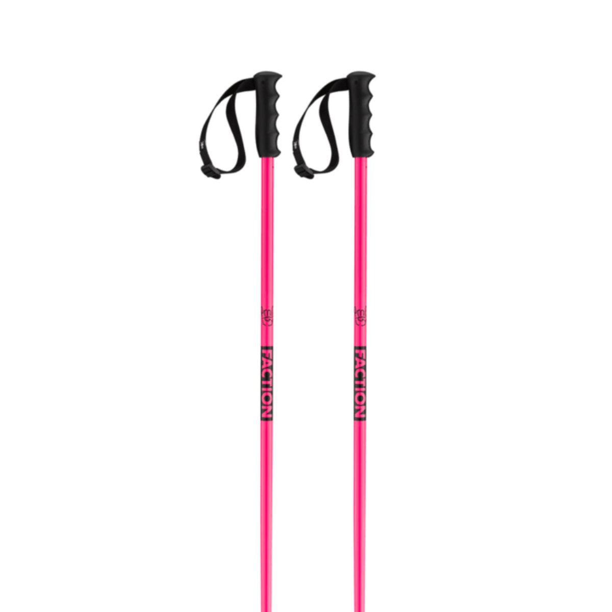 Prodigy Ski Poles