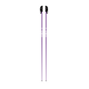 Prodigy Ski Poles