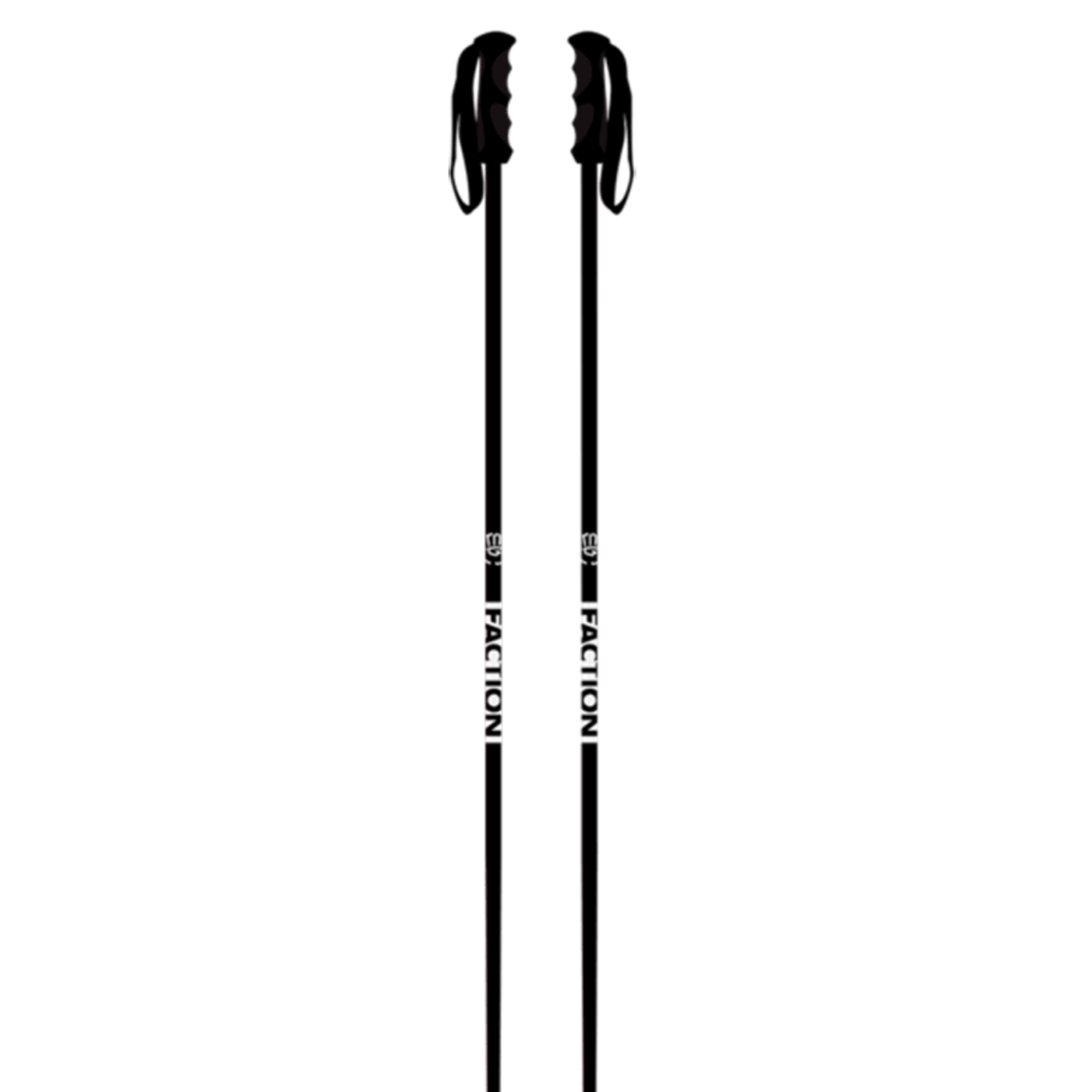 Prodigy Ski Poles