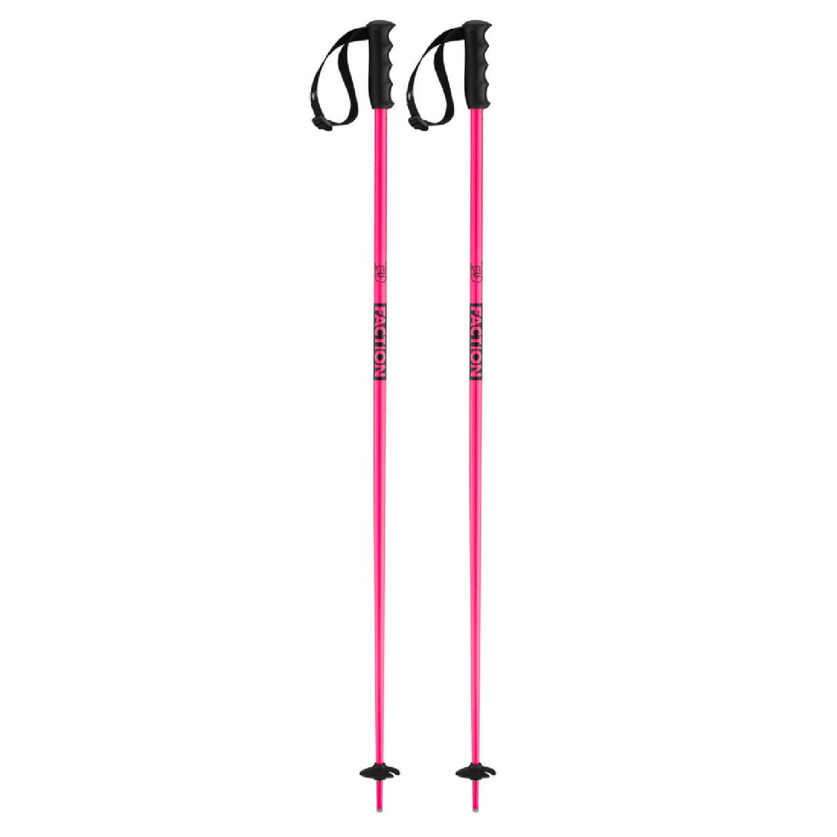 Prodigy Ski Poles