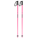 Prodigy Ski Poles