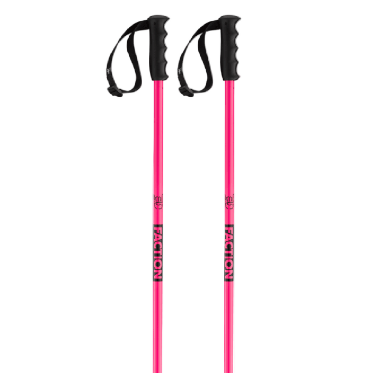 Prodigy Ski Poles