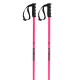 Prodigy Ski Poles