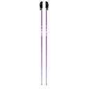 Prodigy Ski Poles