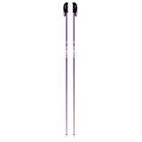 Prodigy Ski Poles