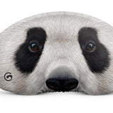 Goggle Lens Protector