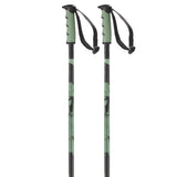 Steep Ski Poles