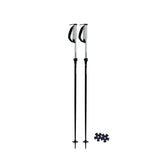Paintbrush Ski Poles