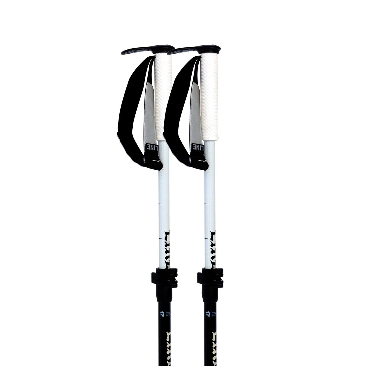 Paintbrush Ski Poles