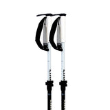 Paintbrush Ski Poles