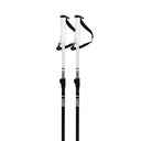 Paintbrush Ski Poles