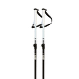Paintbrush Ski Poles