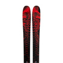 Poisson Skis 2027