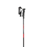Hot Shot Ski Poles