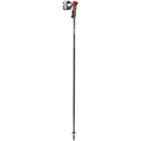 Airfoil 3D Ski Poles