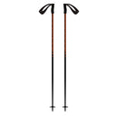 Meta Ski Poles