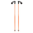 Meta Ski Poles