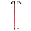 Meta Ski Poles