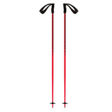Meta Ski Poles