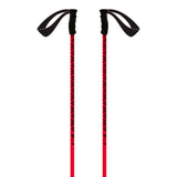 Meta Ski Poles