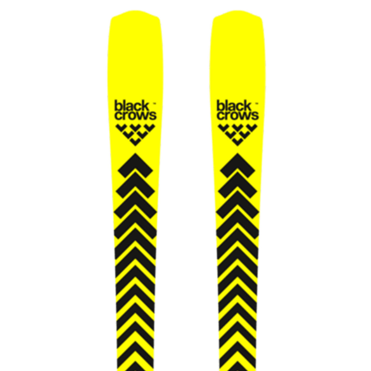 Octo Skis 2026