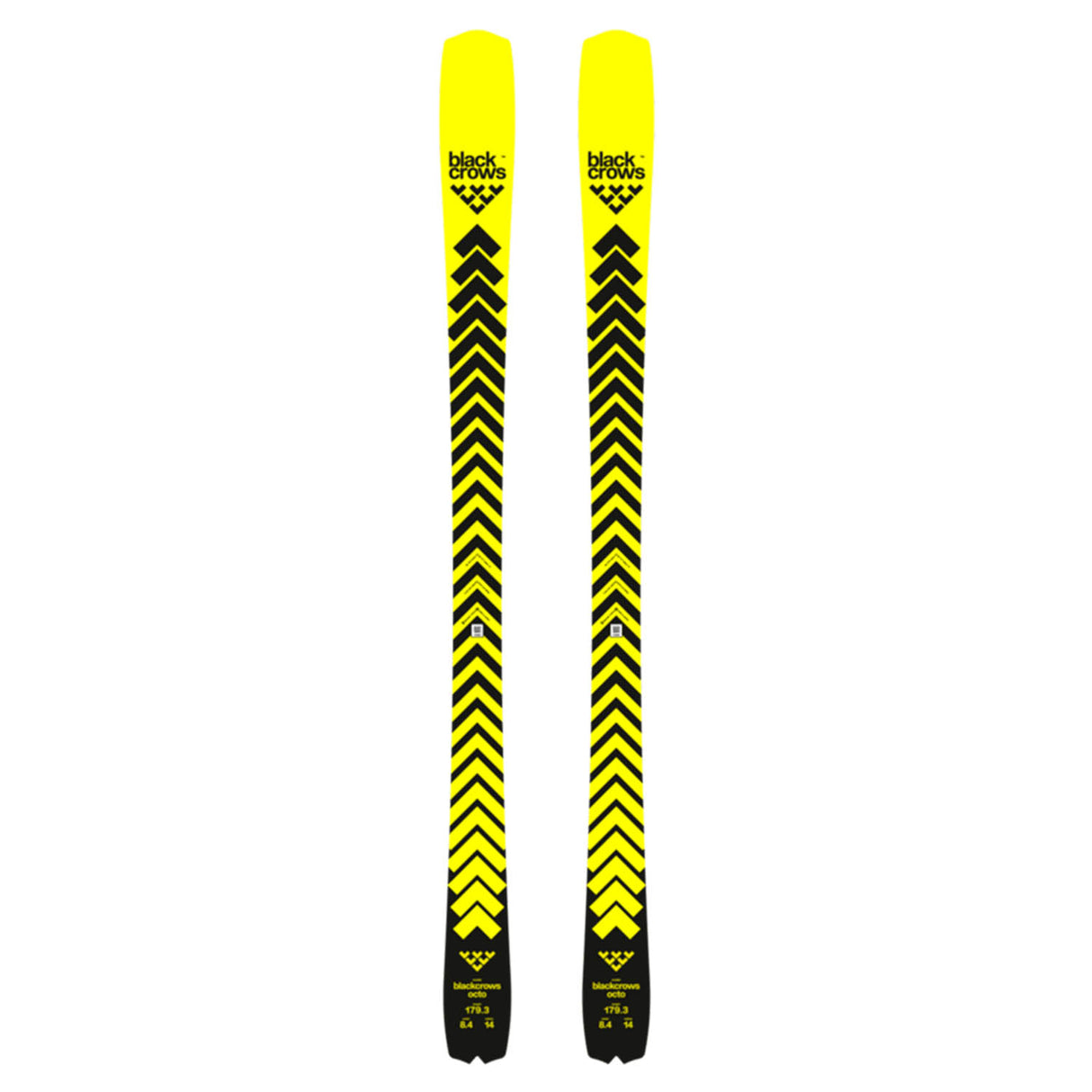 Octo Skis 2026