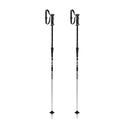 Rider Vario Ski Poles