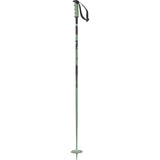 Steep Ski Poles