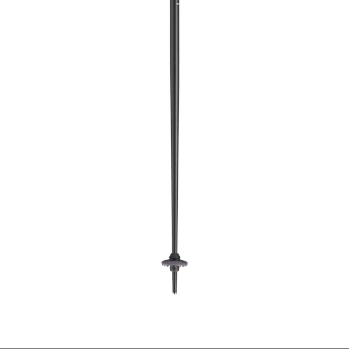 Voltec TR Ski Poles
