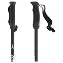 AMT JR Telescopic Ski Pole