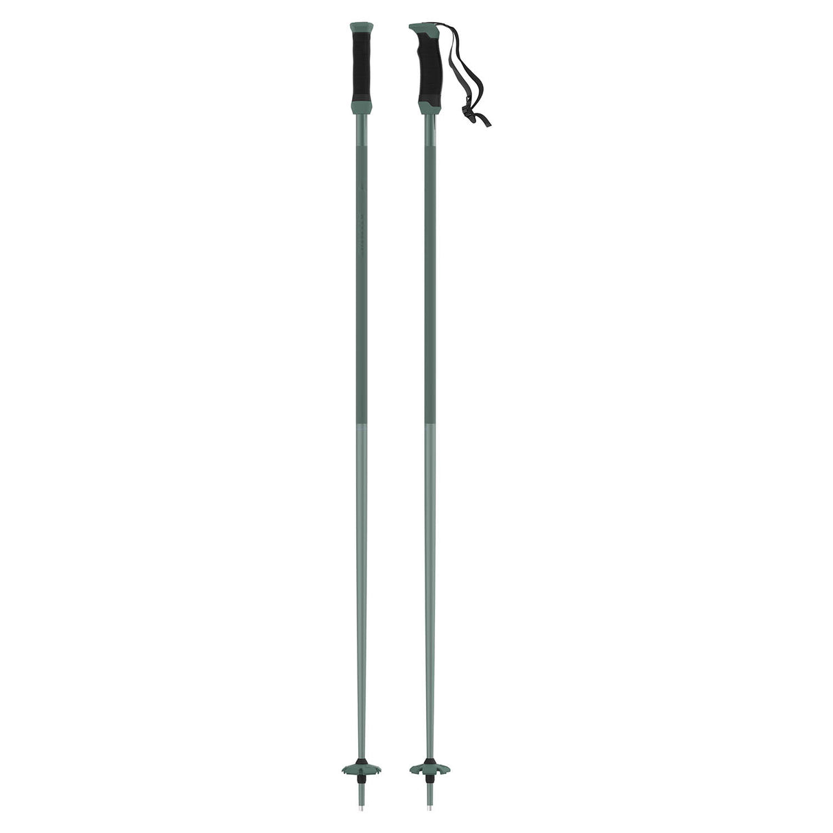 AMT SQS Ski Pole