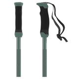 AMT SQS Ski Pole
