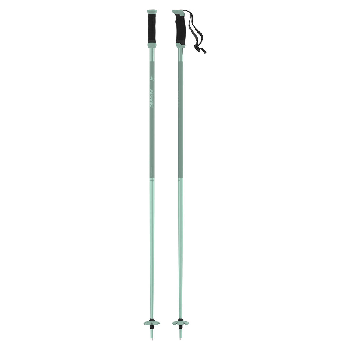 AMT SQS W Ski Pole