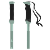 AMT SQS W Ski Pole
