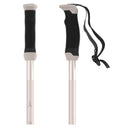 AMT SQS W Ski Pole
