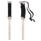 AMT SQS W Ski Pole