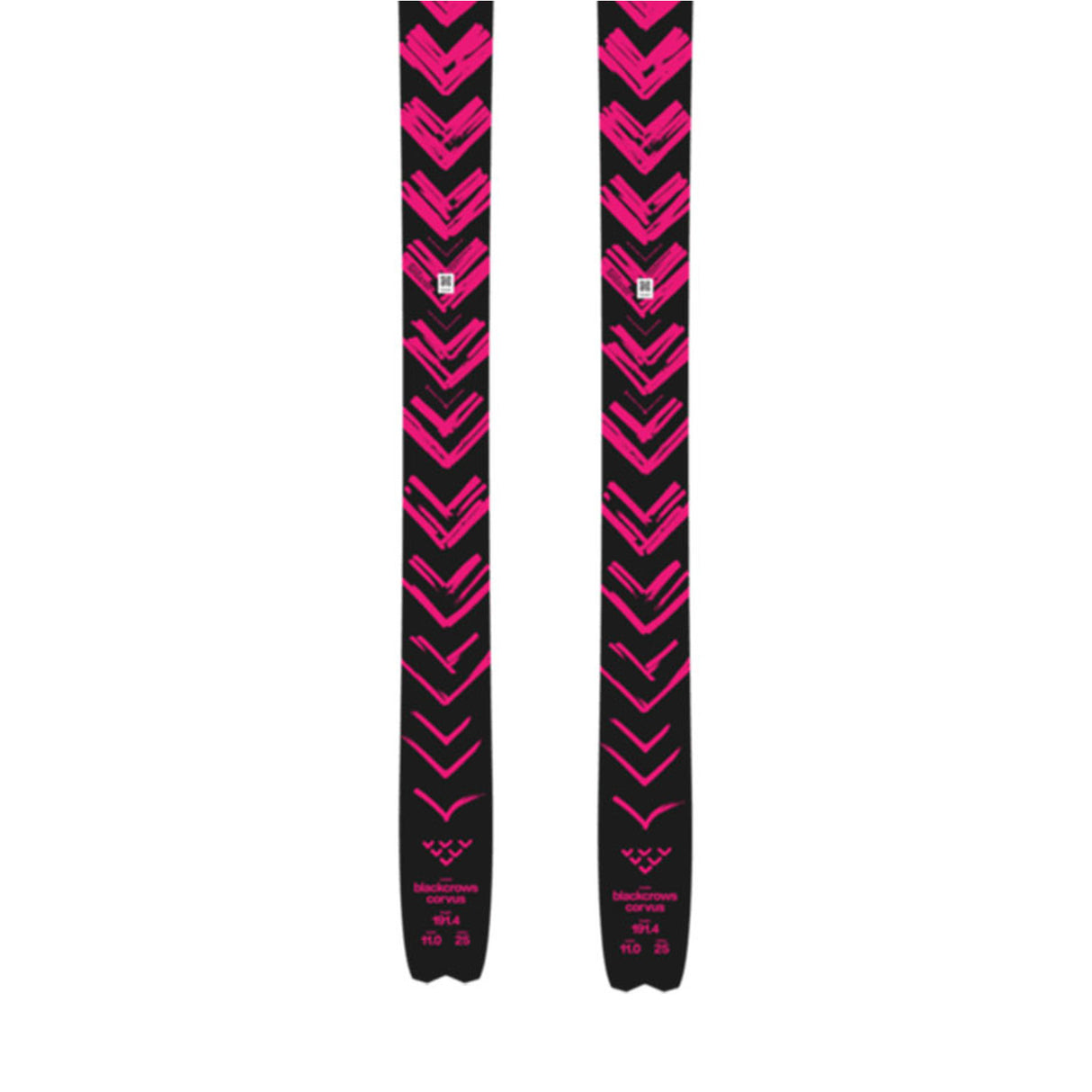 Corvus Skis 2027
