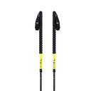 Duos Freebird Ski Poles