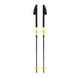 Duos Freebird Ski Poles