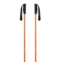 Meta Ski Poles