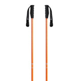 Meta Ski Poles