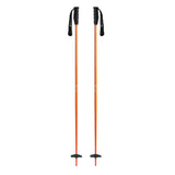 Meta Ski Poles