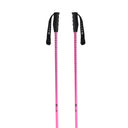 Meta Ski Poles