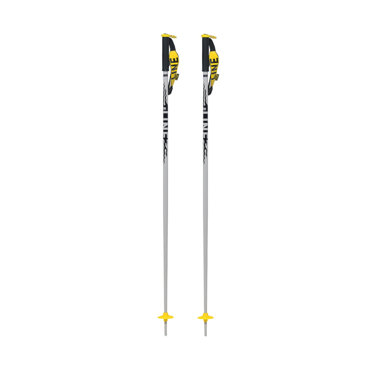 Pin Ski Poles