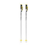 Pin Ski Poles