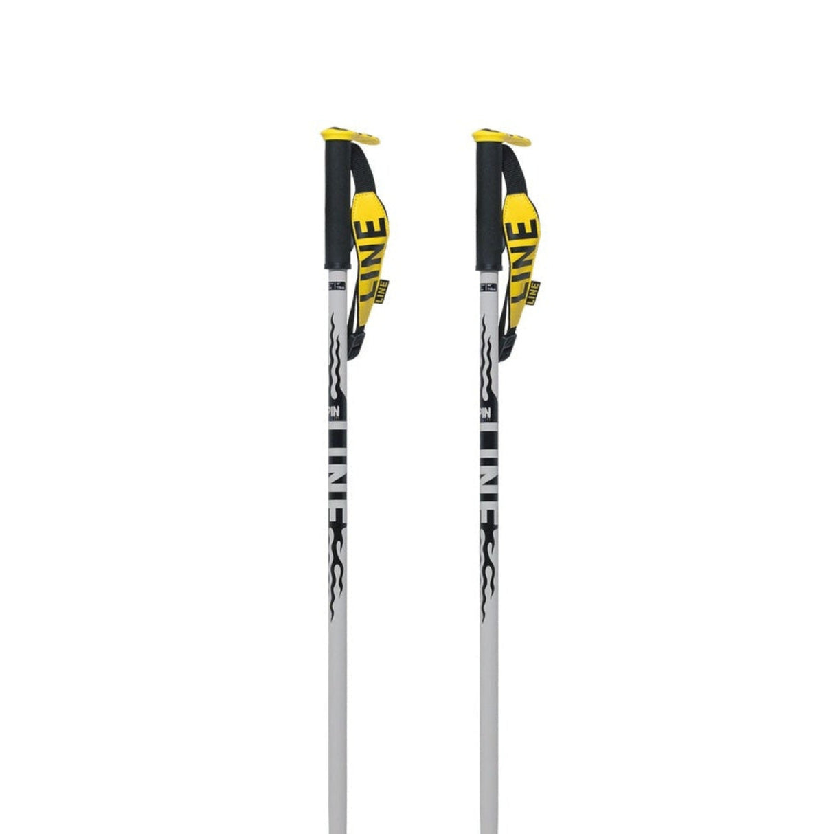 Pin Ski Poles