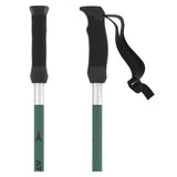 Redster Q Ski Pole
