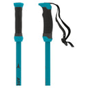 Redster X SQS Ski Pole