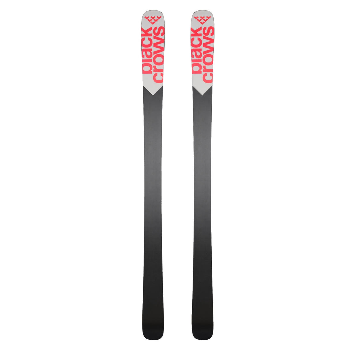 Camox Skis 2024 - Snowtrax